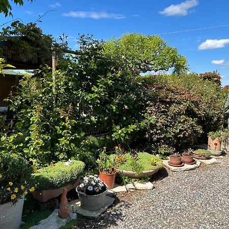 La Casa Di Biba Bed and Breakfast Massa Lombarda Eksteriør billede