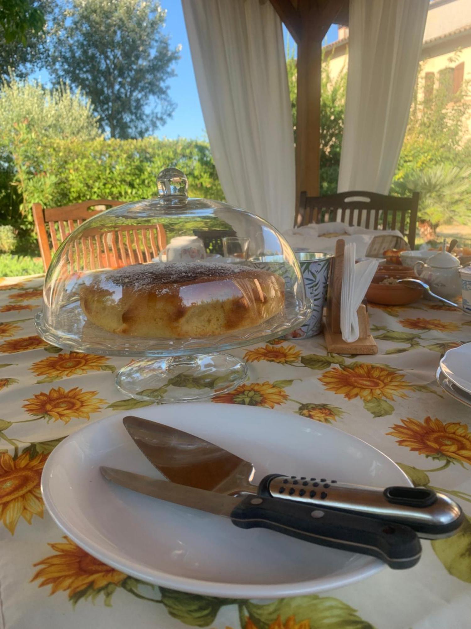 La Casa Di Biba Bed and Breakfast Massa Lombarda Eksteriør billede