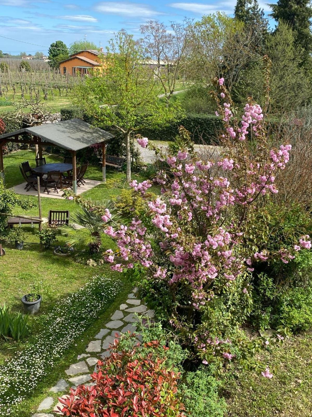 La Casa Di Biba Bed and Breakfast Massa Lombarda Eksteriør billede