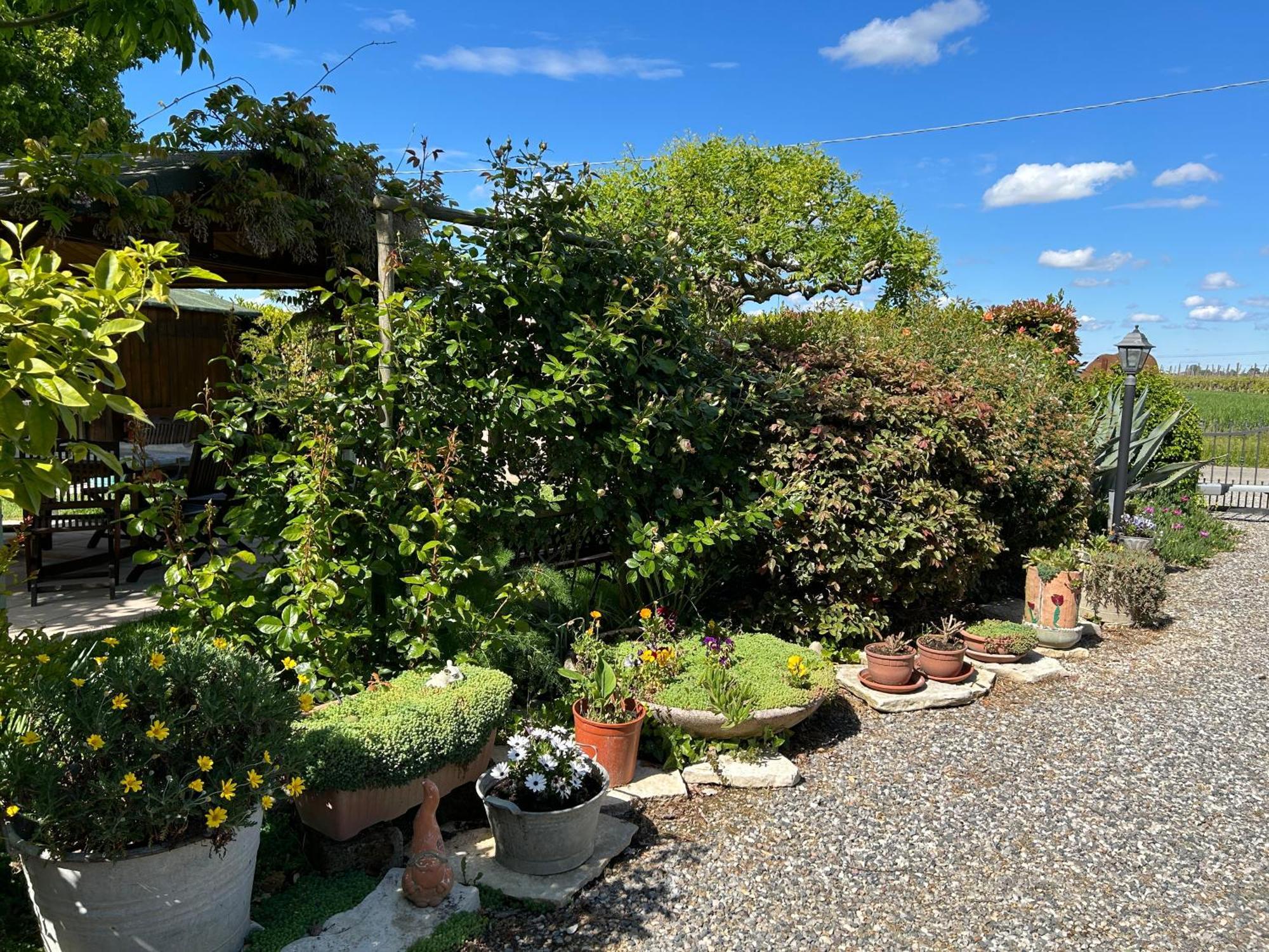 La Casa Di Biba Bed and Breakfast Massa Lombarda Eksteriør billede